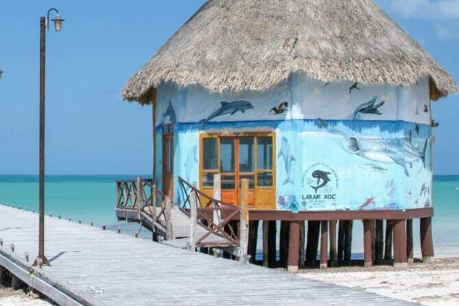 Tour 3 Islands in Holbox Premium Experience - A Detailed Look at the Itinerary