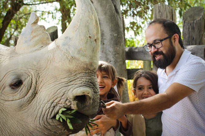 Tour Africam Safari in Puebla - Price and Value