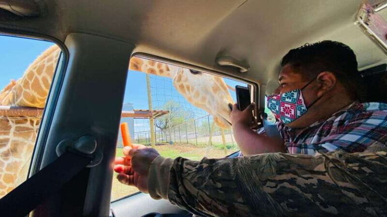 Tour "Bioparque" + Traslados + Tickets incluidos - Final Thoughts: Is This Tour Worth It?