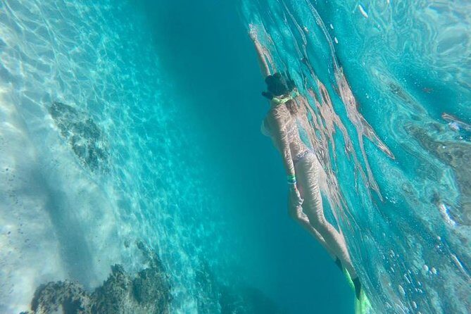 Tour islands Marietas Snorkeling and Nopalera Beach - What Travelers Say