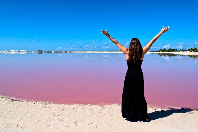 Tour Las Coloradas - Natural Pink Lake only from Playa del Carmen - Río Lagartos: Where Wildlife Takes Center Stage