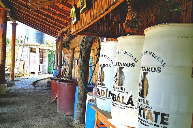 Tour Los Caminos del Mezcal Café and Pedal Loom Factory - Authentic Experiences and Why They Matter