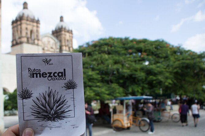 Tour of Mezcalerias in the City - Who Is This Tour Best For?