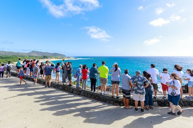 Tour of North Shore & Waimea Waterfall - What Are We Missing?