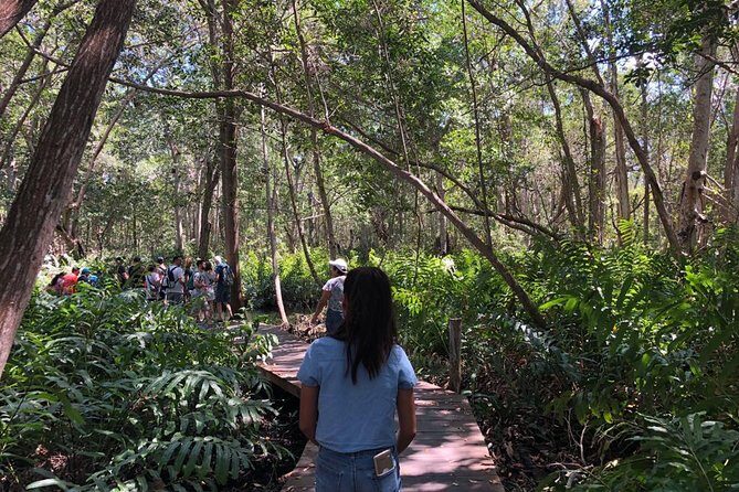 Tour to Celestún - What the Reviews Say