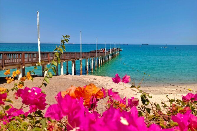 Tour to La Paz Playa Balandra Malecón and Todos Santos - Practical Tips for Travelers