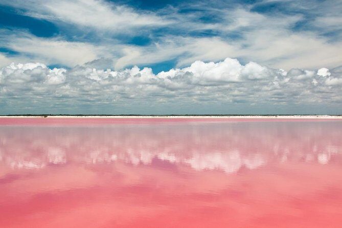 Tour to Las Coloradas Pink Waters and Boat Ride in Rio Lagartos with Lunch. - Analyzing the Tours Value and Logistics