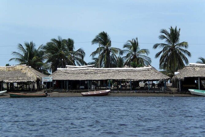 Tour to Puerto Arista and Boca del Cielo from San Cristobal - Practical Details and What to Expect