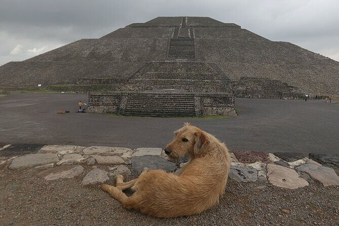 Tour to Teotihuacan from CDMX with entrances included - What Makes This Tour Stand Out?