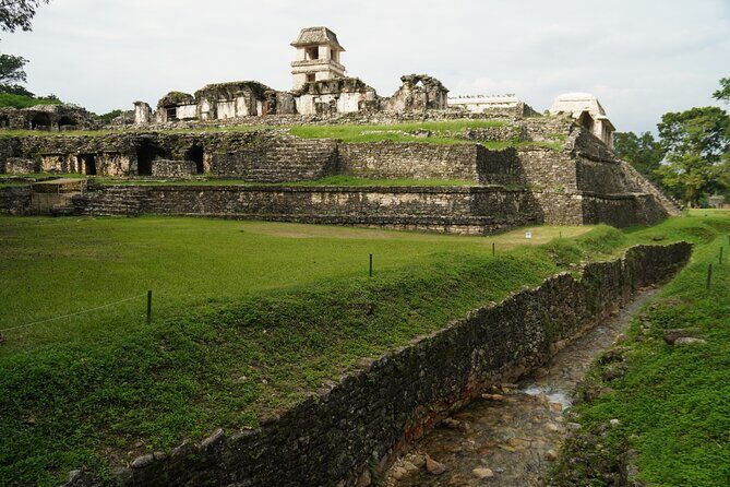 Tour to the Archaeological Zone of Palenque - Transportation and Value