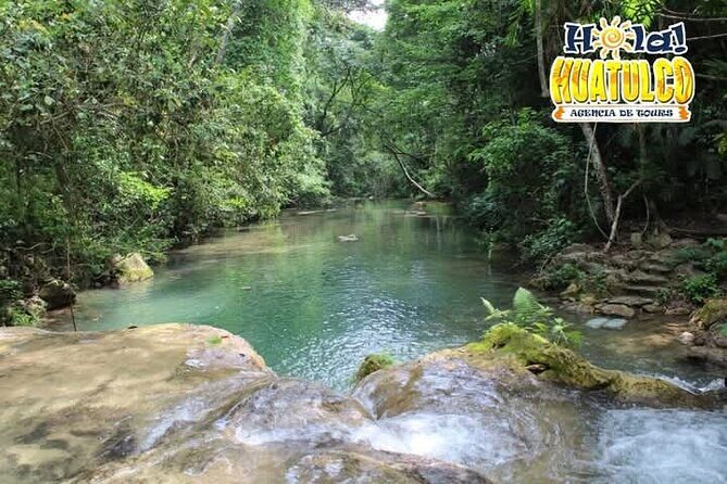 Tour to the Magic Waterfalls of Copalitilla - What Reviewers Say: Authentic Experiences and Natural Beauty
