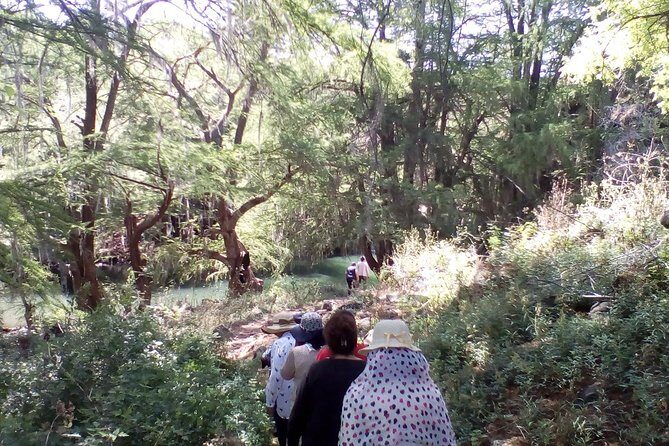 Tour Visiting the Malpais - Analyzing the Value