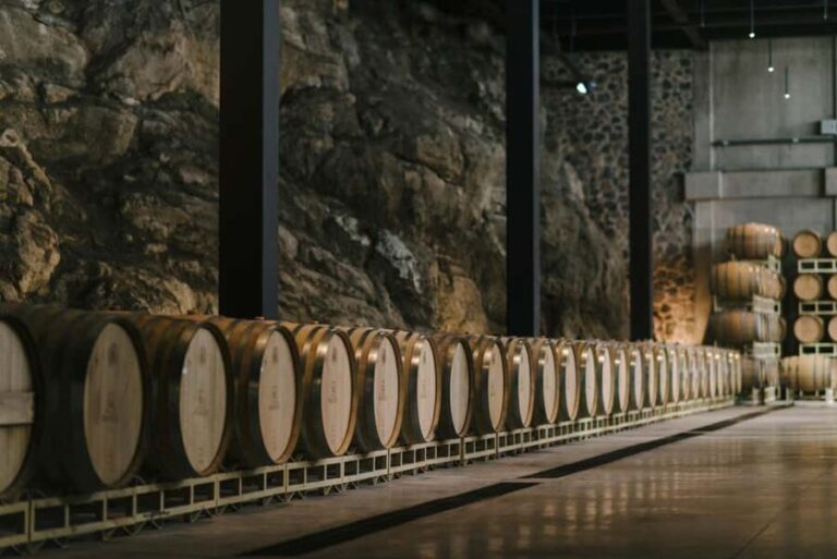 Tour & Wine Tasting San Miguel Vineyard / San Miguel Experience - Analyzing Value and Practical Considerations