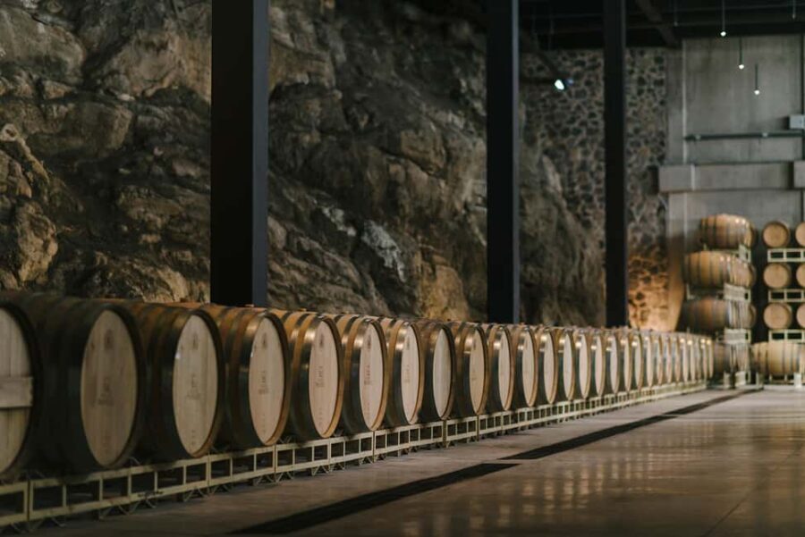 Tour & Wine Tasting San Miguel Vineyard / San Miguel Experience - Analyzing Value and Practical Considerations