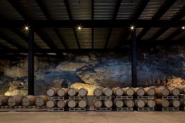 Tour & Wine Tasting Viñedo San Miguel / San Bartolo Experience - What Makes the Experience Stand Out?