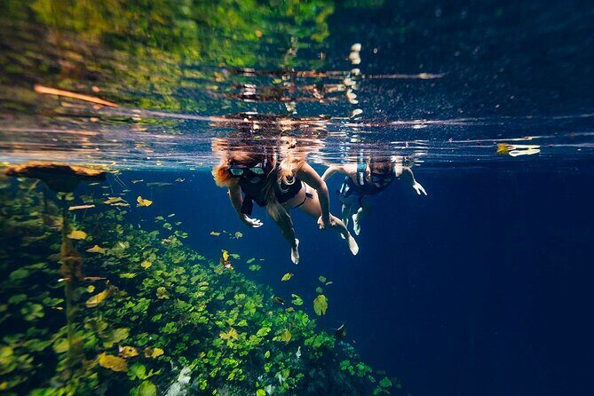 Tour Xenotes Advenure From Cancun & Playa del Carmen - Who Should Consider This Tour?