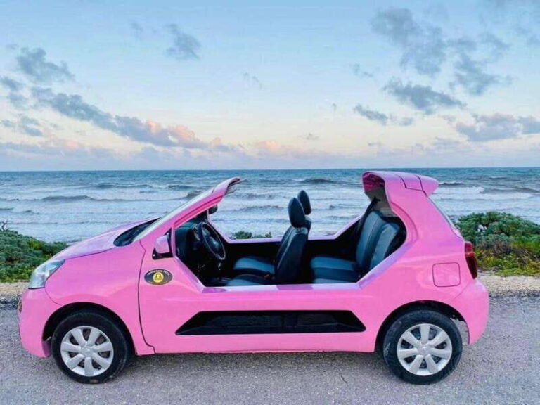 Tourist Buggy Tour of Cozumel Island - Chankanaab - What Travelers Say