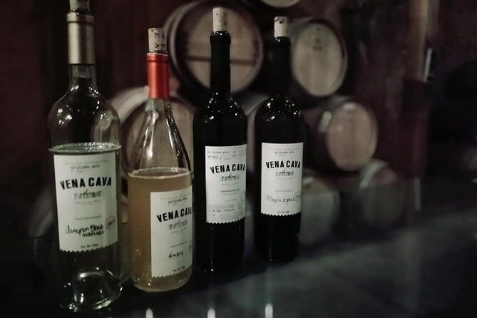 Tourist guide in the Wine Country (Valle de Guadalupe) Ensenada - Break down of the itinerary
