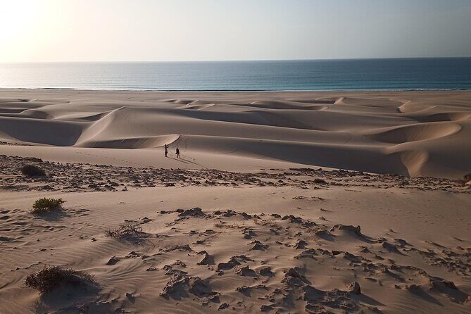 Tours in Boa Vista island - The Sum Up: Is This Tour Right for You?