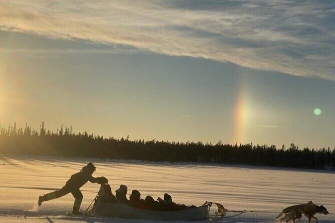 Traditional Dog Sledding Adventure in Yellowknife - Why This Tour Is Worth Considering