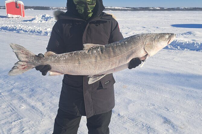 Traditional Ice Fishing with Net Pull and Lunch - Final Thoughts