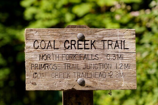 Trails Through Time Bellevue Coal Creek History Hike - Practical Details and What You Need to Know