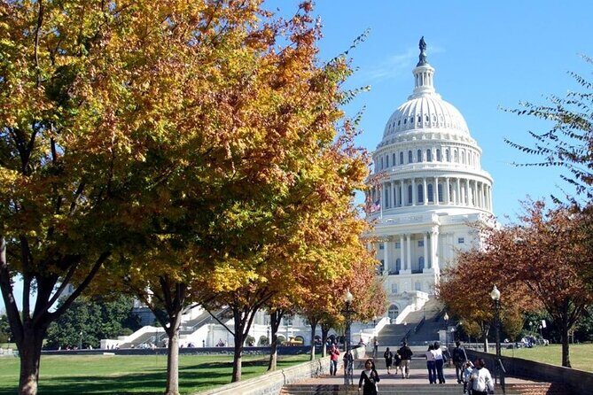 Transfer from Washington DC to Dulles International Airport - Why Choose This Transfer?