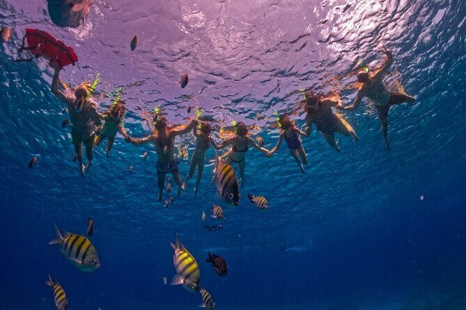 Transparent Boat Tour in Cozumel: See Marine Life Up Close - The Sum Up: Who Should Consider This Tour?