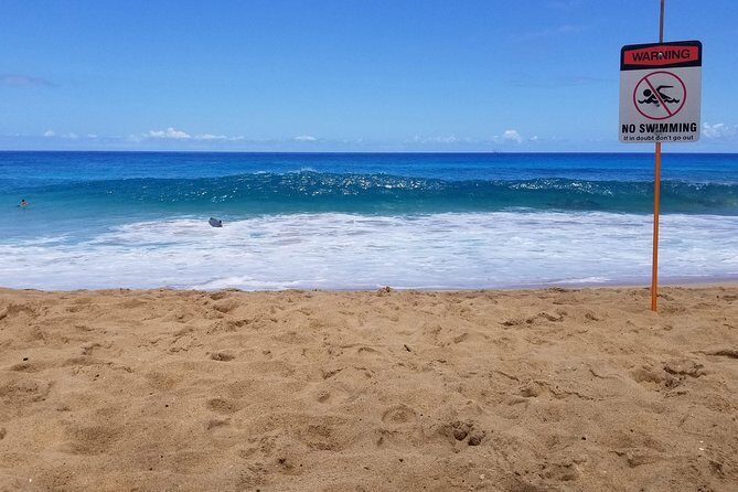 Transportation to North Shore - The Value and Practicality of This Tour