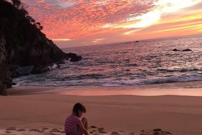 Travel from Guadalajara to Puerto vallarta shopping mall galleries - FAQ