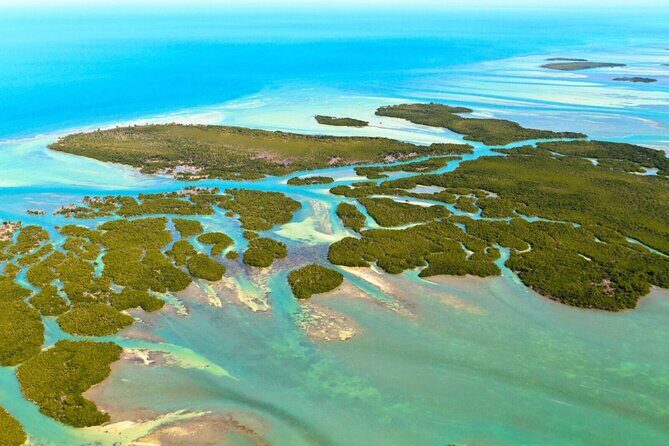 Travel the Florida Keys Private Adventure - The Value of a Private Yacht Experience
