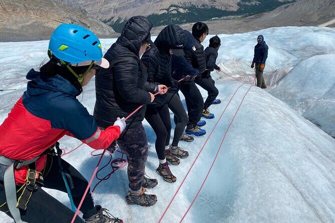 Tread Lightly Glacier Hikes - The Hike to the Glacier: A Scenic Approach