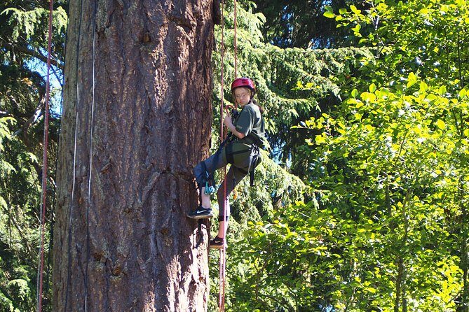 Tree Canopy Climbing on Lopez Island - The Experience in Context: Why It Matters