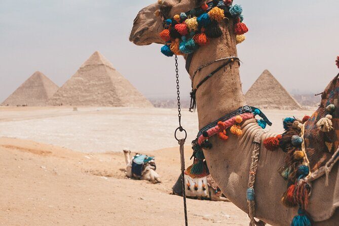 Trip To Cairo from Alexandria - Who Will Appreciate This Tour?