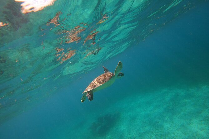 Trip to Mayan Ruins and Caribbean Village with Snorkeling - The Coastal Charm of Mahahual