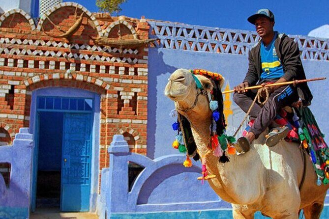 Trip To Nubian Village by motorboat From Aswan - Why the Tour Gets High Marks