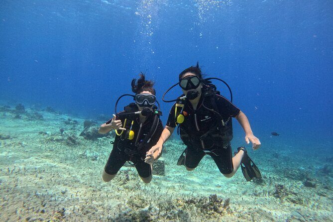 Try diving without previous experience from shore - An Introduction to the Underwater World in Cozumel