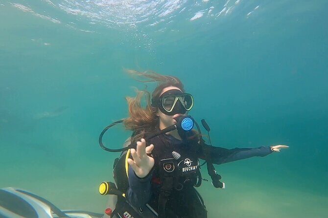 Try Scuba dive in Qatar - The Practicalities: What You Need to Know