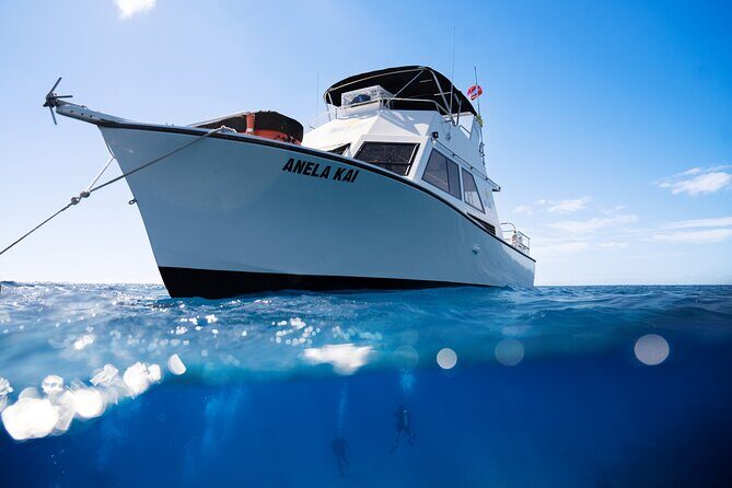 Try Scuba Diving in Kauai From a Boat for Non-Certified Divers - Who Should Consider This Experience?