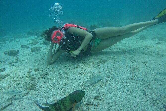 Try Scuba Diving & snorkeling with BBQ lunch in Fujairah - Why You Should Consider This Tour