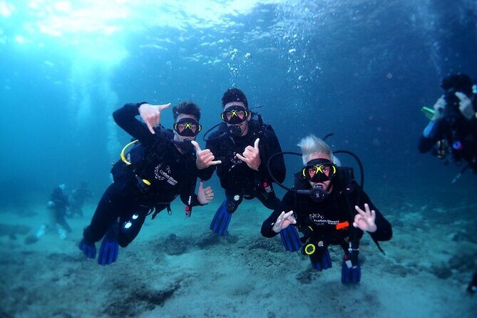 Try Scuba Diving & snorkeling with BBQ lunch & Transfer - What to Expect on the Day