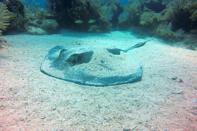 Try Scuba Diving with Professional Scuba Instructor - Fitting and Familiarizing with Equipment