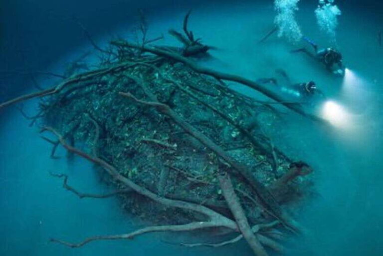 Tulum: 2 Dives in Chac Mool Cenote - Why You Might Love This Tour
