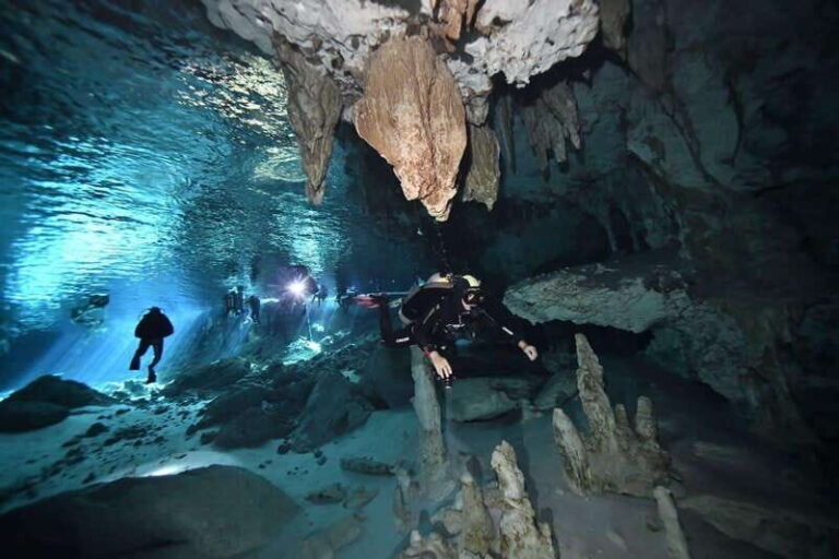 Tulum: 2 Tank Cenote Dive - An In-Depth Look at the Tulum Cenote Experience