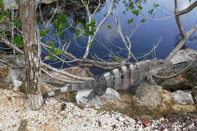Tulum Adventure (Private, Full Day) - Authentic Guides Make a Difference