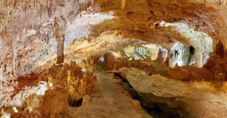 Tulum: Akumal Turtles and Underground Cenote Swim Tour - The Breakdown of the Itinerary