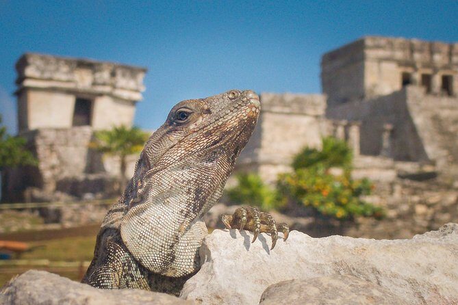 Tulum and Extreme Ride from Cancun - Is It Worth the Price? Analyzing the Value