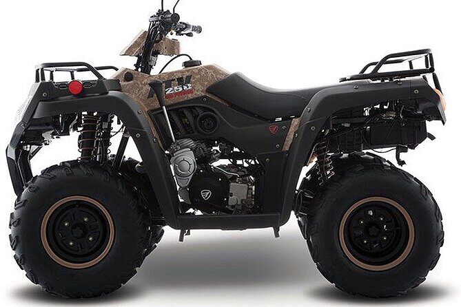 Tulum Area Experiences Guided ATV Tour to 3 Cenote's, Snorkel/Swim & Local Lunch - What’s Special About This Tour?