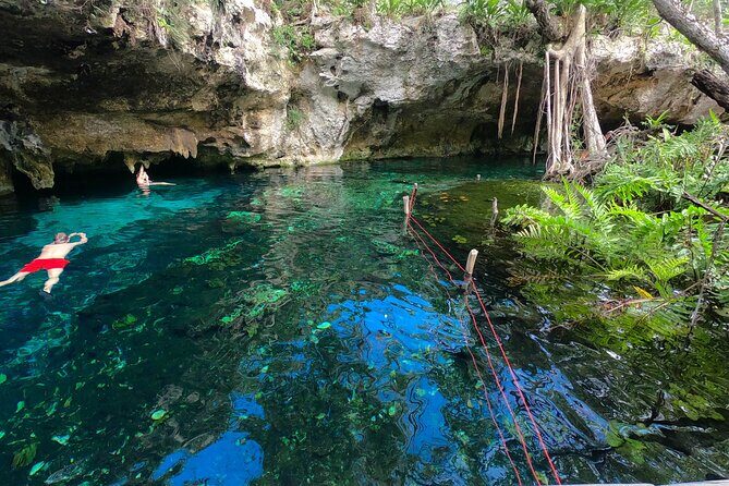 Tulum Area Guided Scooter Tour to 3 Cenote's, Snorkel/Swim & Local Lunch - Final Thoughts: Is It Worth It?