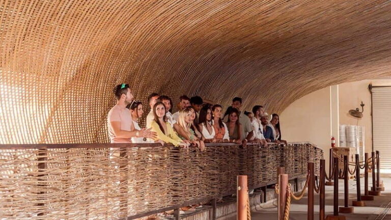 Tulum Beer Tasting Brewery Tour Beer School & Transportation - Authenticity and Reviews